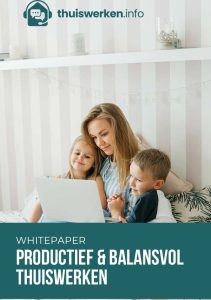 Whitepaper Thuiswerken Preview
